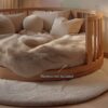 Scandinavian Round Daybed Kids Room Nursery
